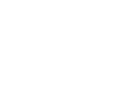 Digiport